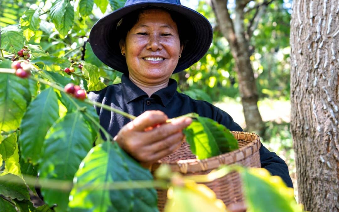 Why Fair Trade Coffee is Important: A Comprehensive Guide